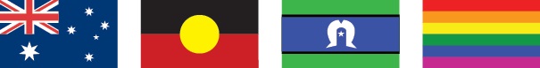 diversity flag image